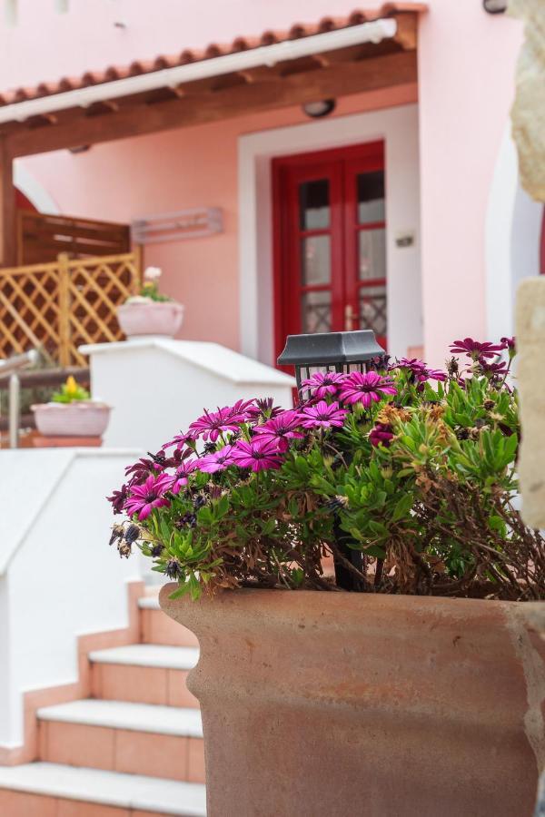 Chalki Apartments - Naxos Khalkíon Dış mekan fotoğraf