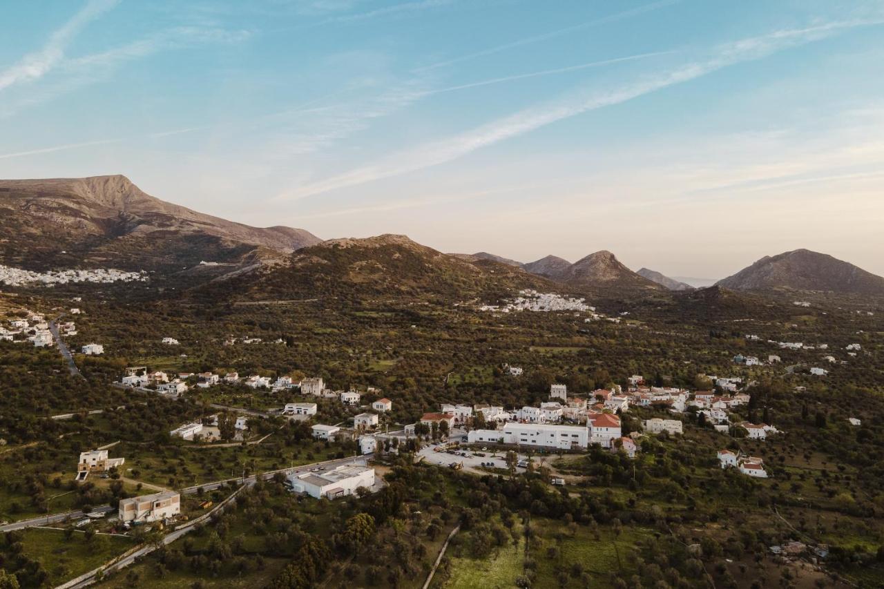 Chalki Apartments - Naxos Khalkíon Dış mekan fotoğraf